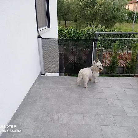 Dom wakacyjny Le Rose Di Bino