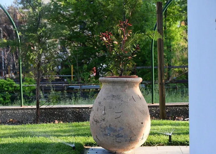 Le Rose Di Bino 펜션