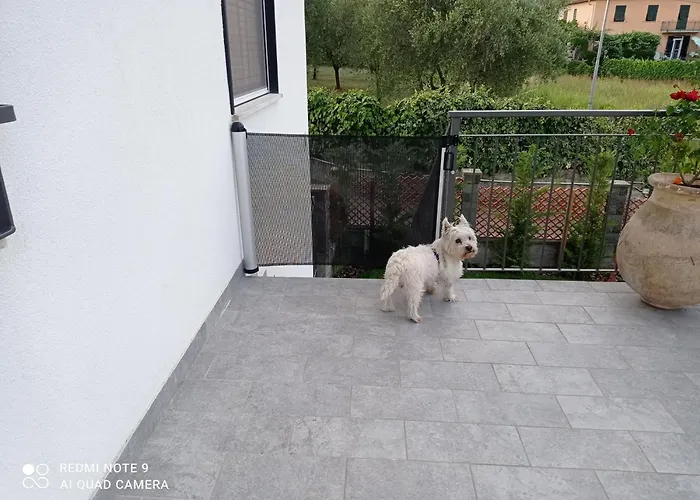 펜션 Le Rose Di Bino